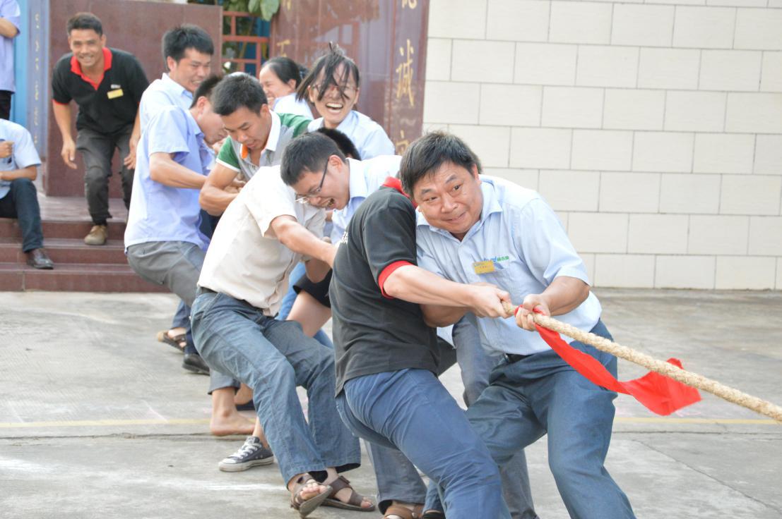 拔河活動(dòng)4 拔河活動(dòng)4